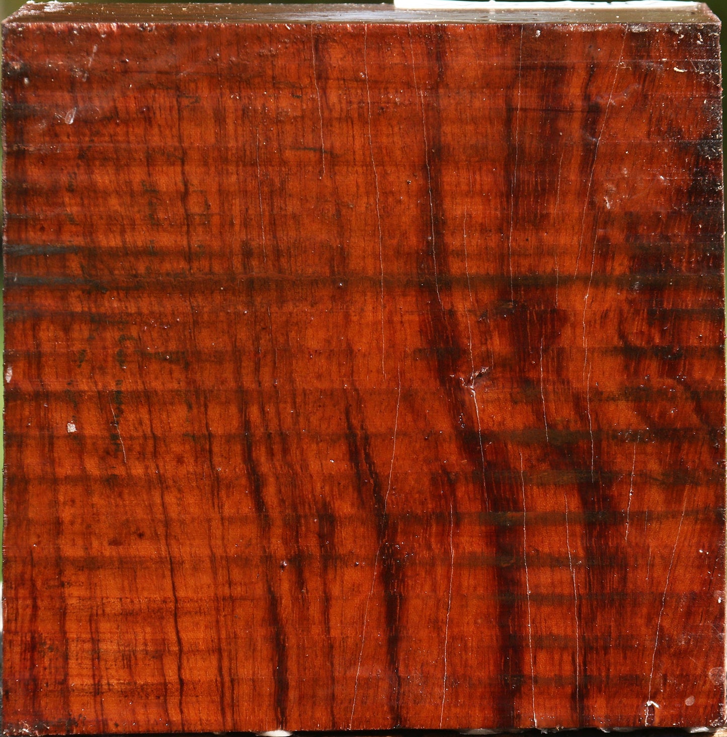 Bubinga Bowl Blank