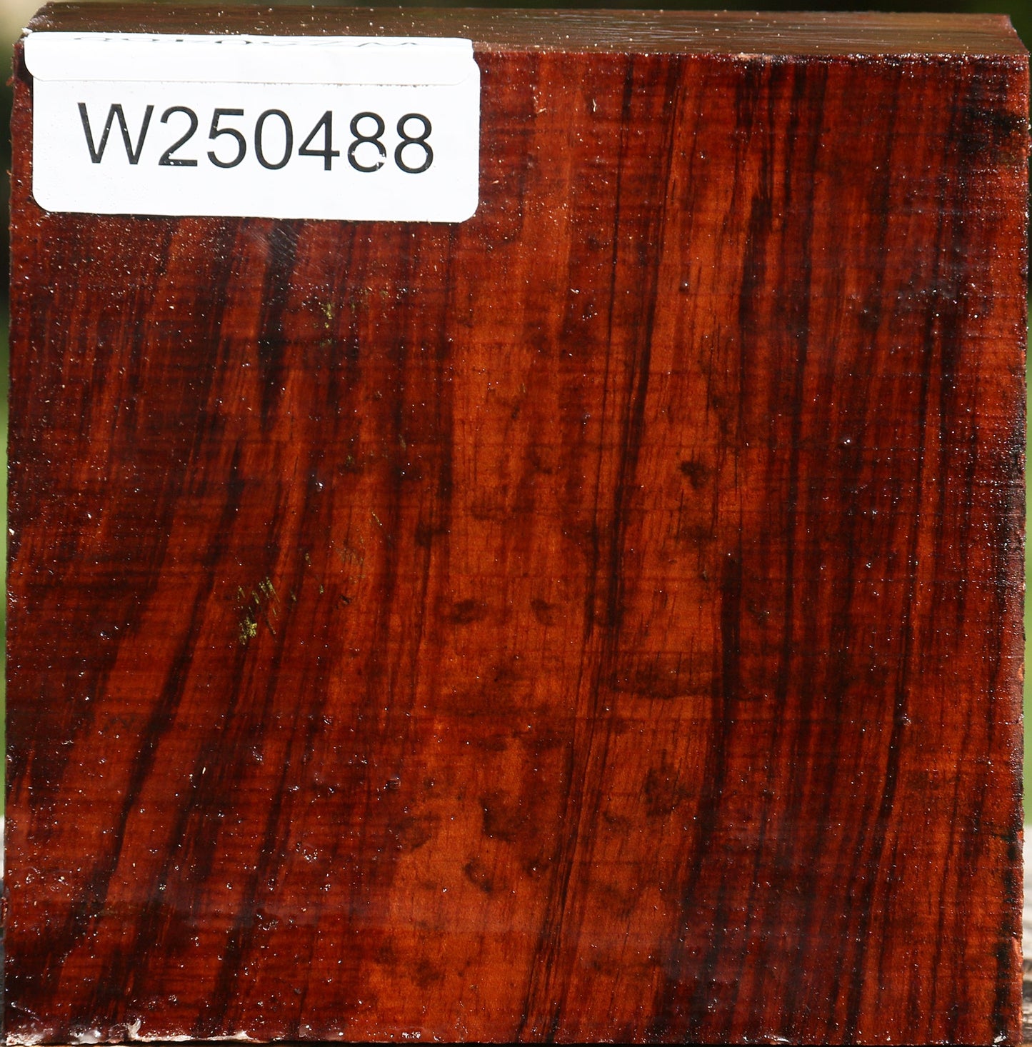Bubinga Bowl Blank