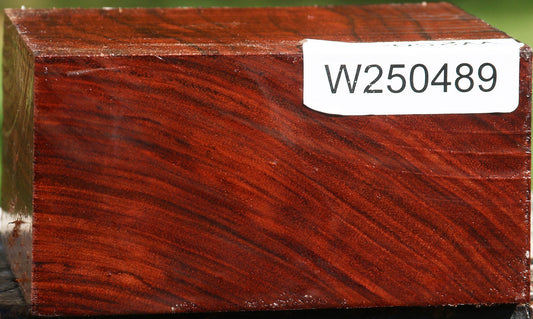 Bubinga Bowl Blank