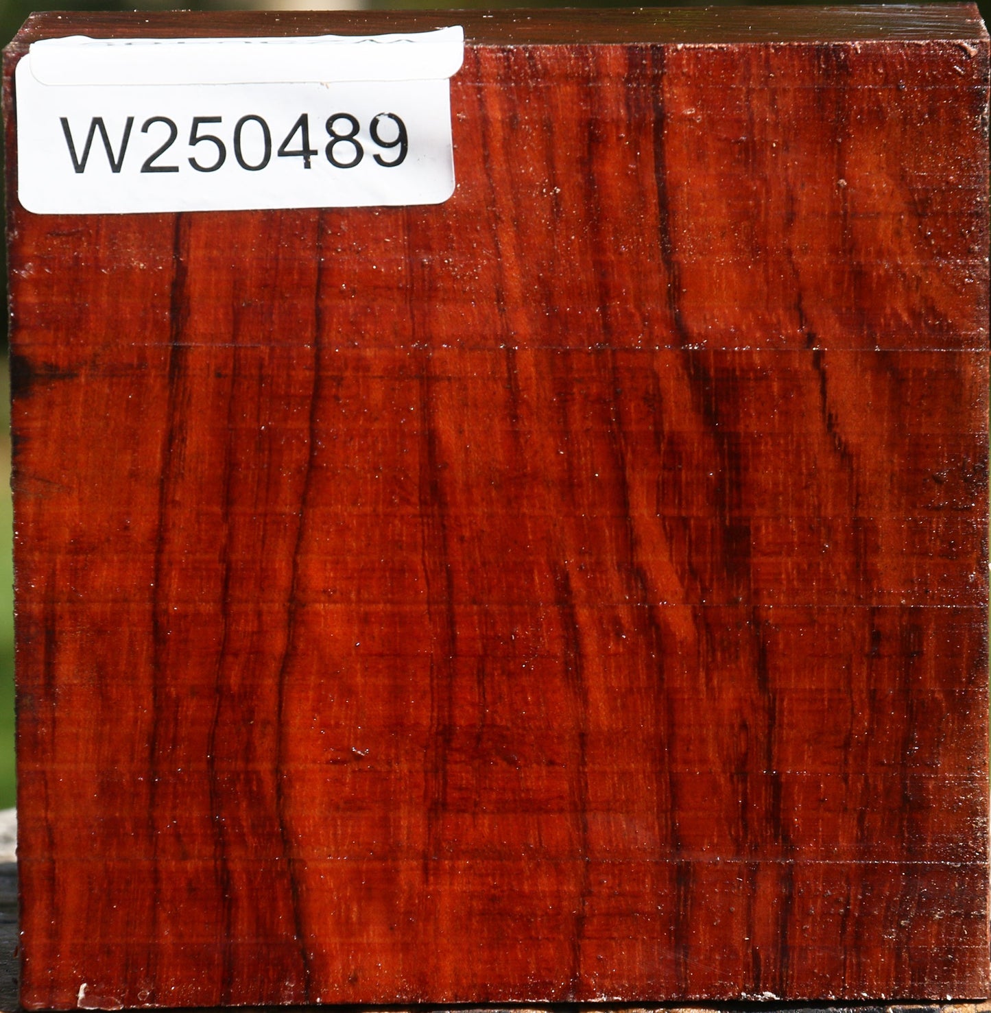 Bubinga Bowl Blank