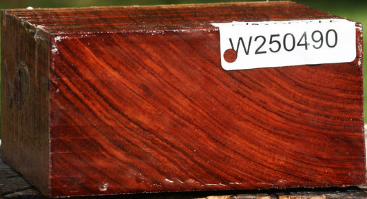Bubinga Bowl Blank