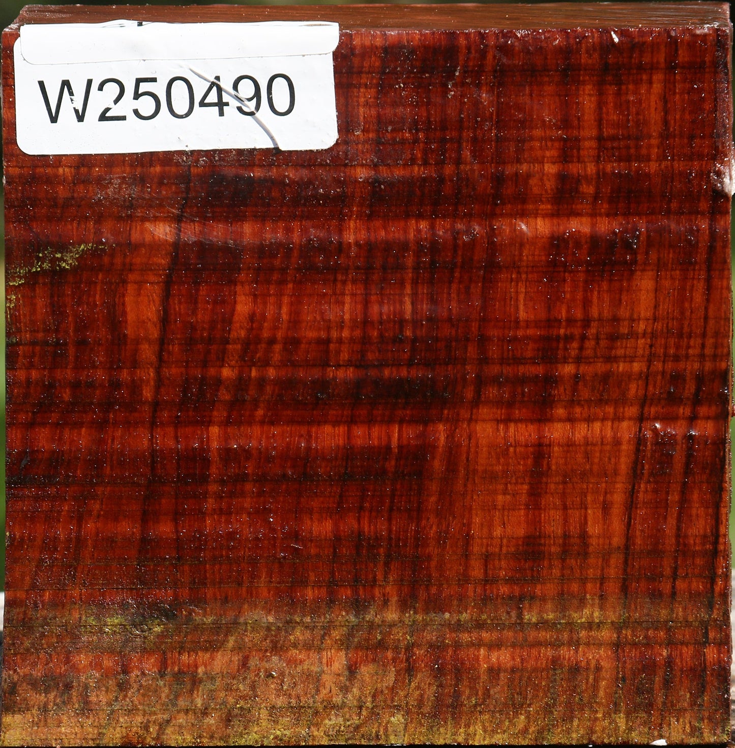 Bubinga Bowl Blank