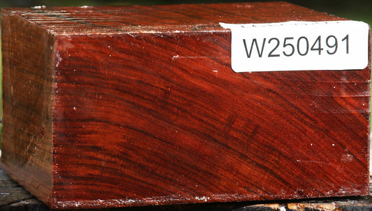 Bubinga Bowl Blank