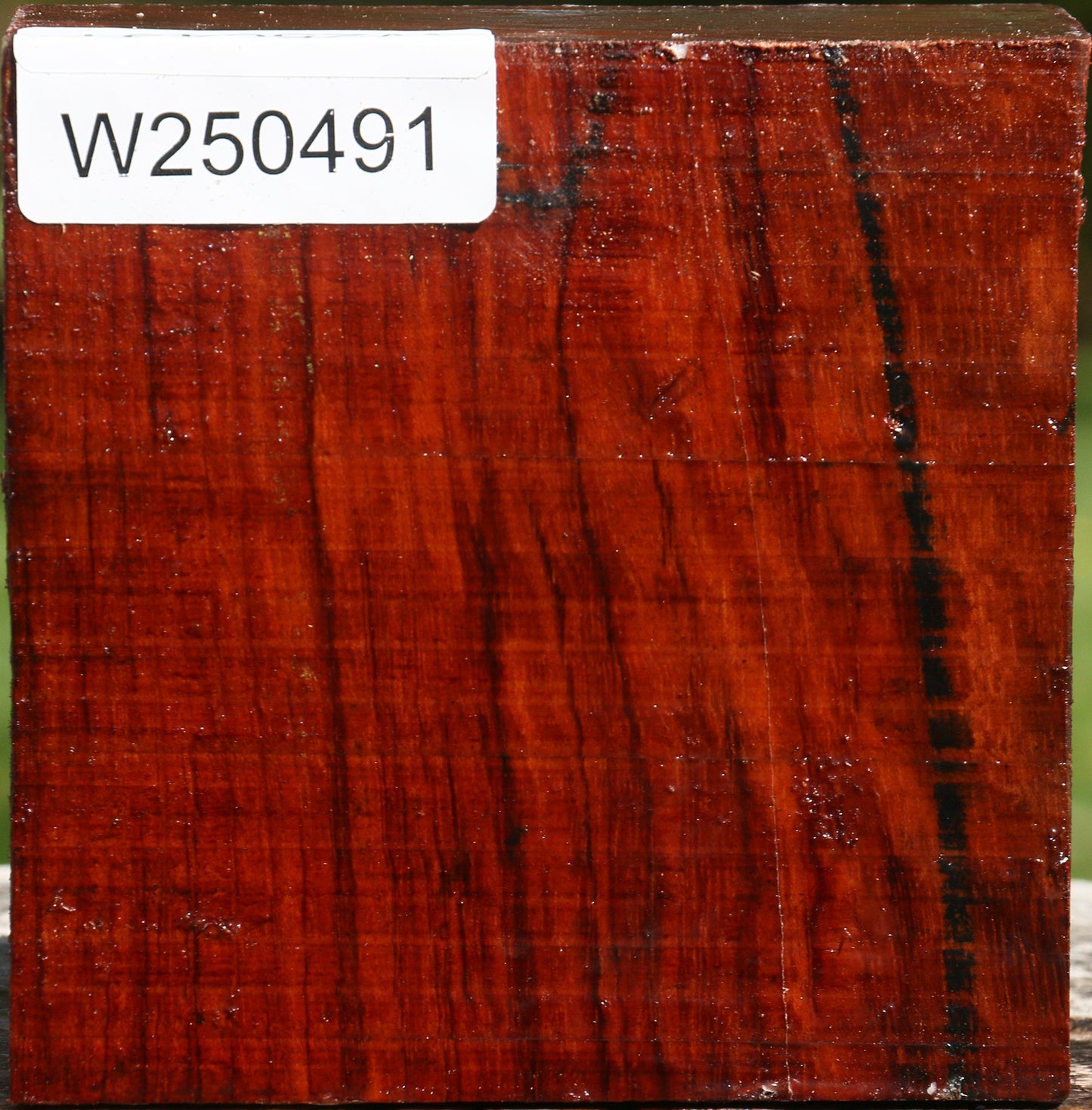 Bubinga Bowl Blank