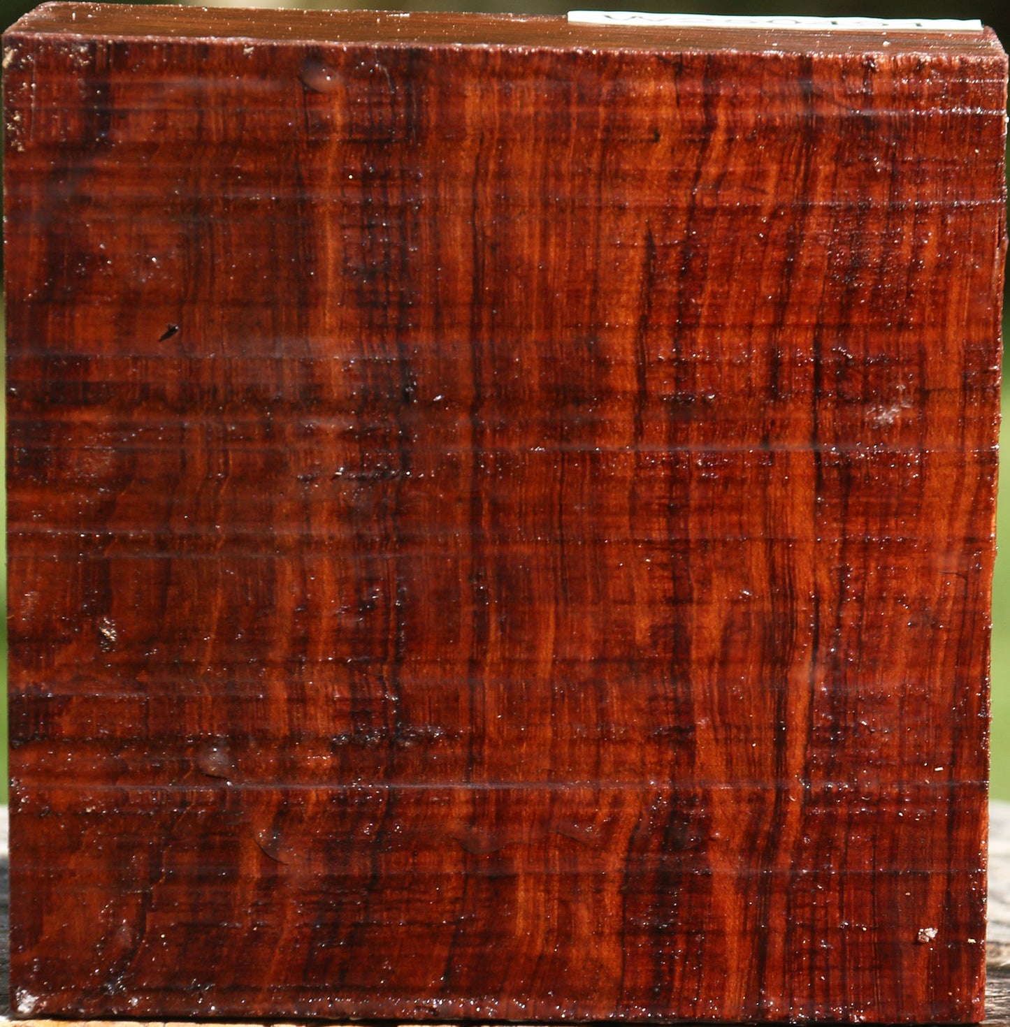 Bubinga Bowl Blank
