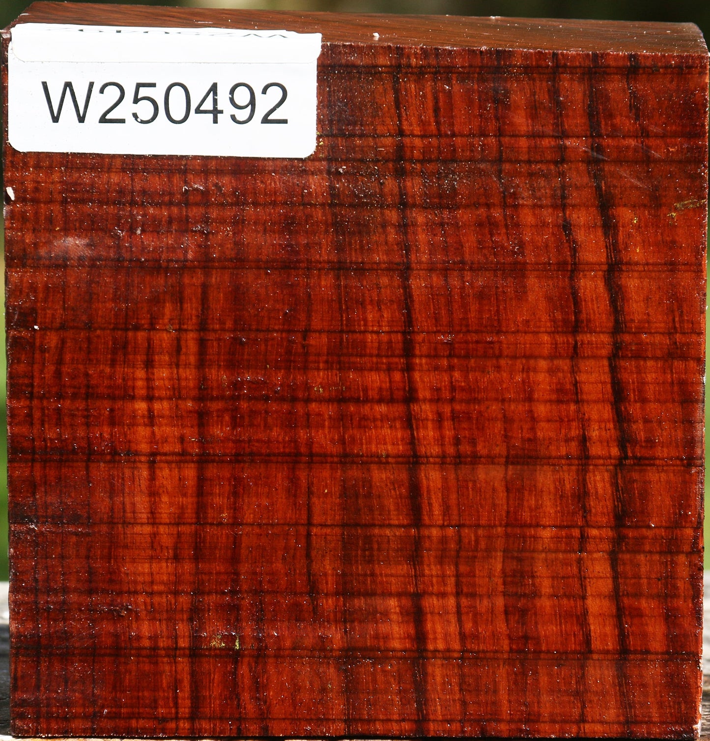 Bubinga Bowl Blank