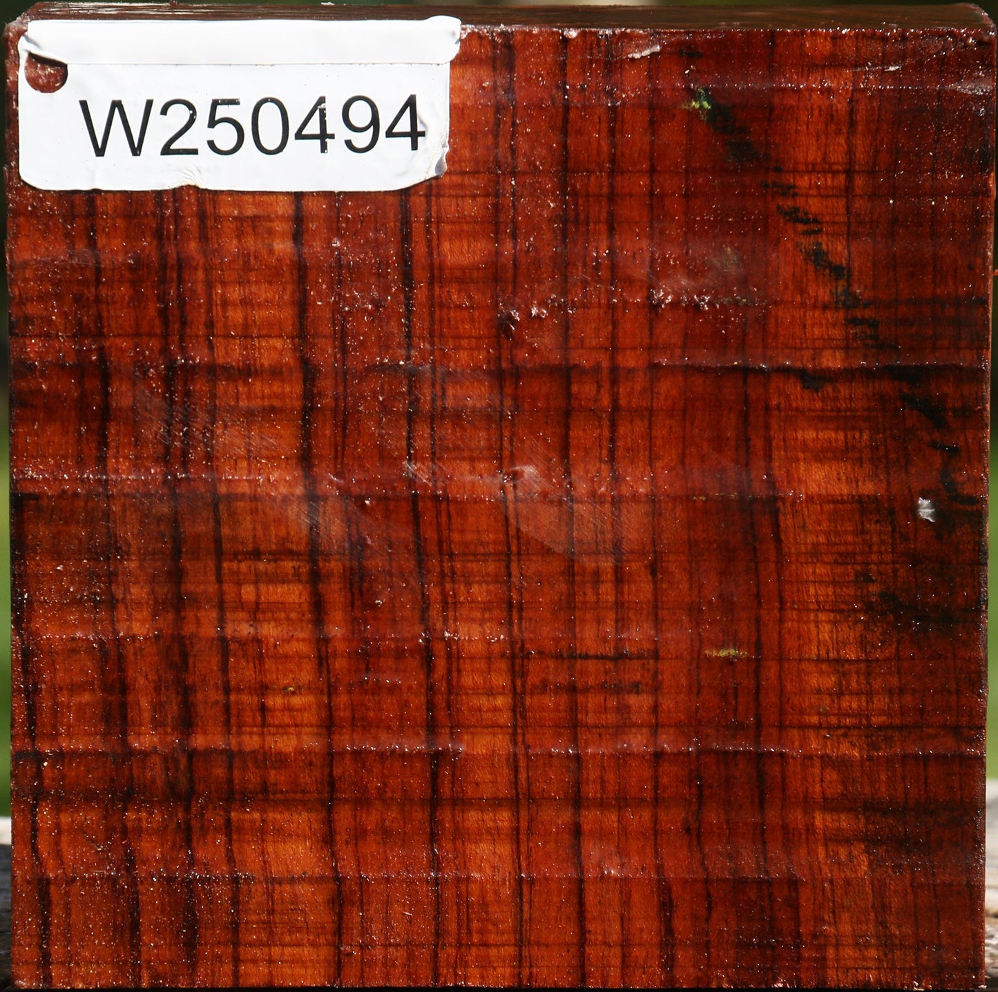 Bubinga Bowl Blank