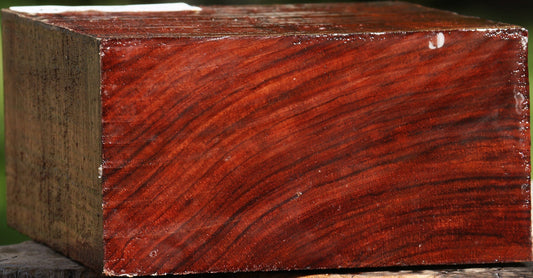 Bubinga Bowl Blank