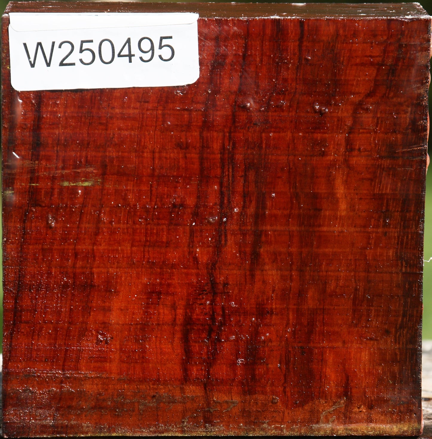 Bubinga Bowl Blank