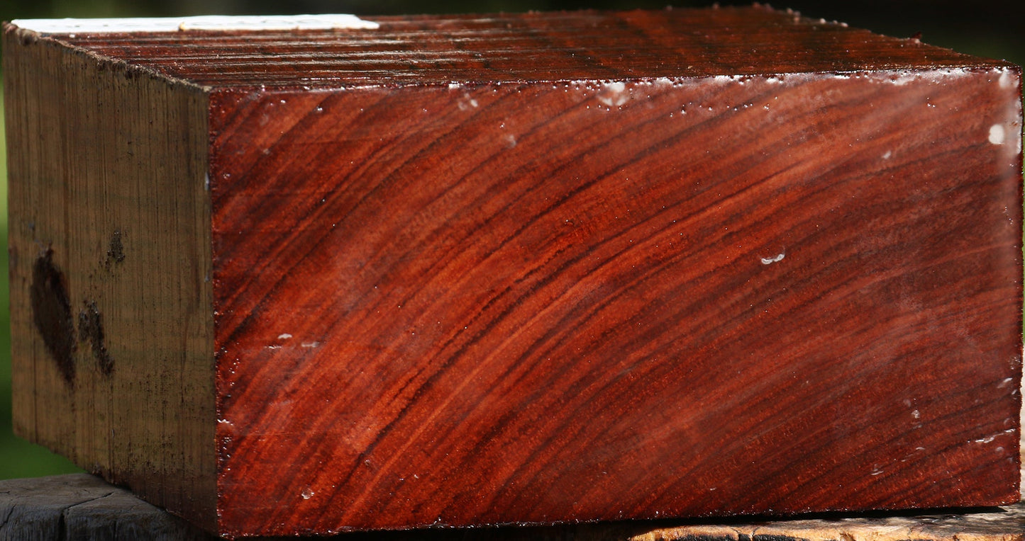Bubinga Bowl Blank