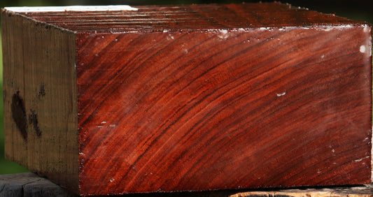 Bubinga Bowl Blank
