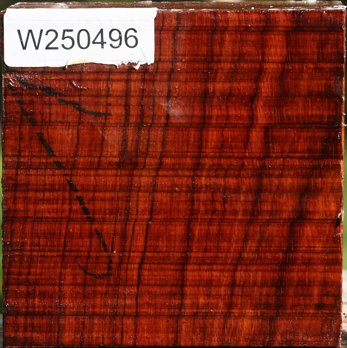 Bubinga Bowl Blank
