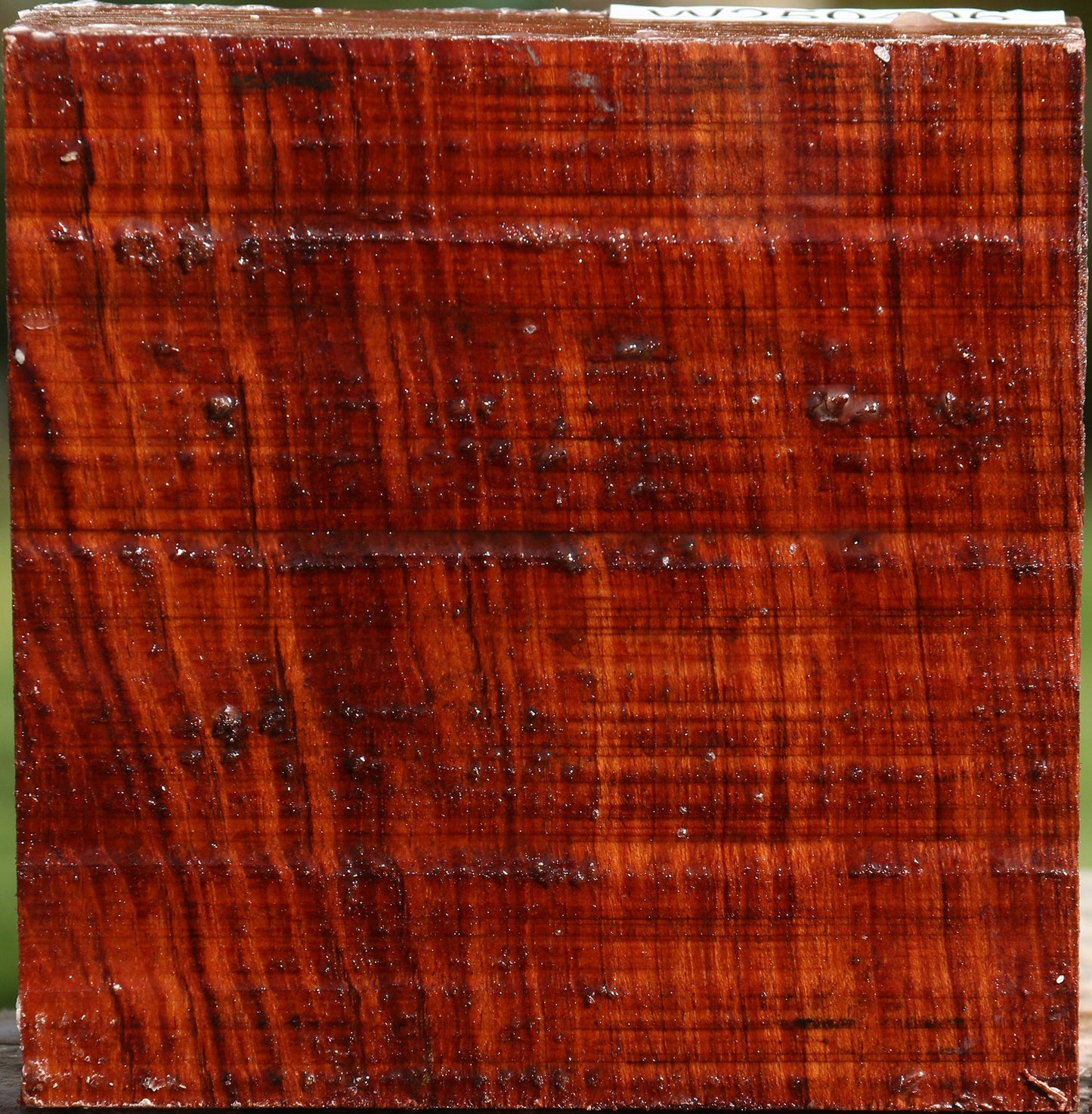 Bubinga Bowl Blank