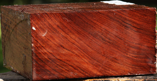 Bubinga Bowl Blank