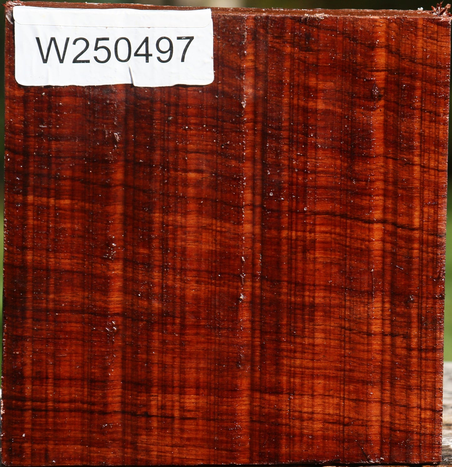 Bubinga Bowl Blank