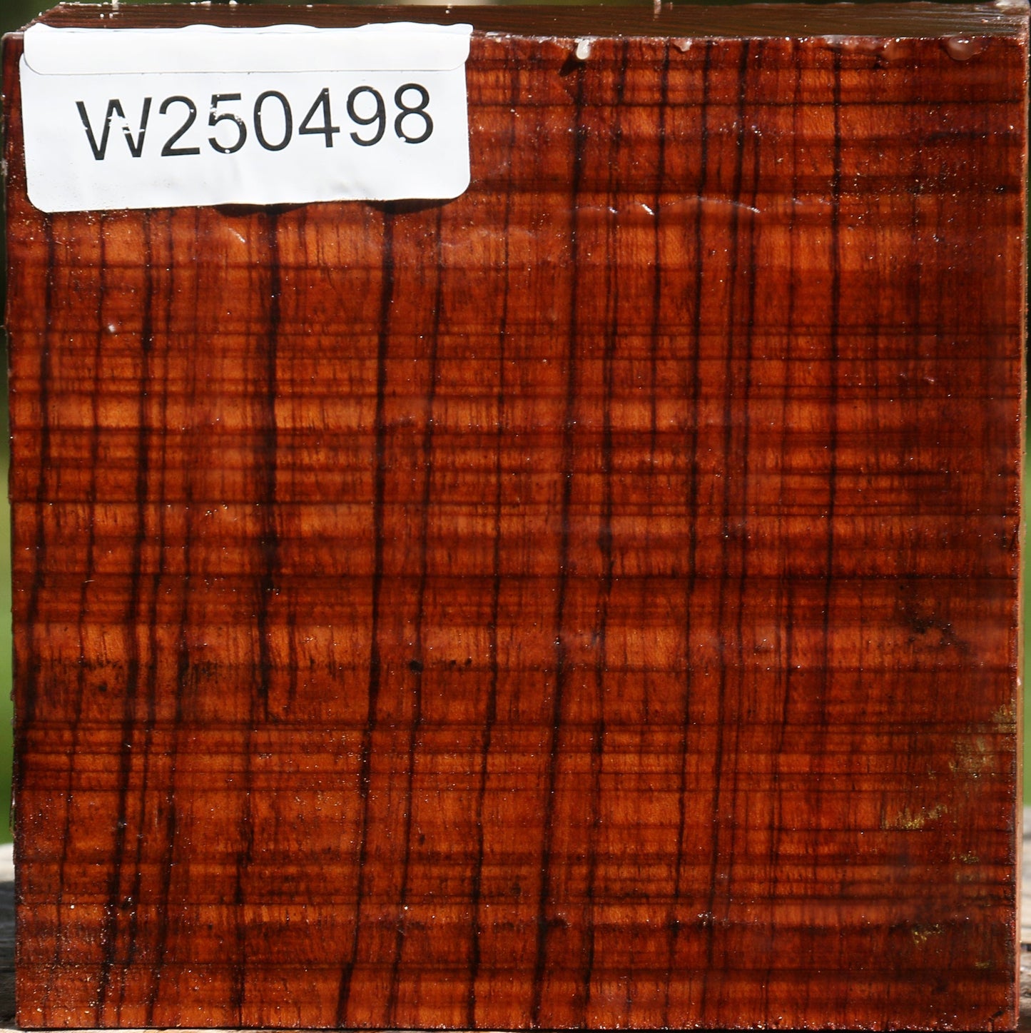 Bubinga Bowl Blank