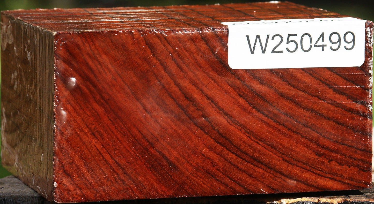 Bubinga Bowl Blank
