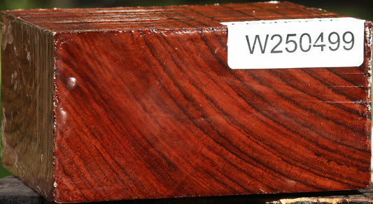 Bubinga Bowl Blank