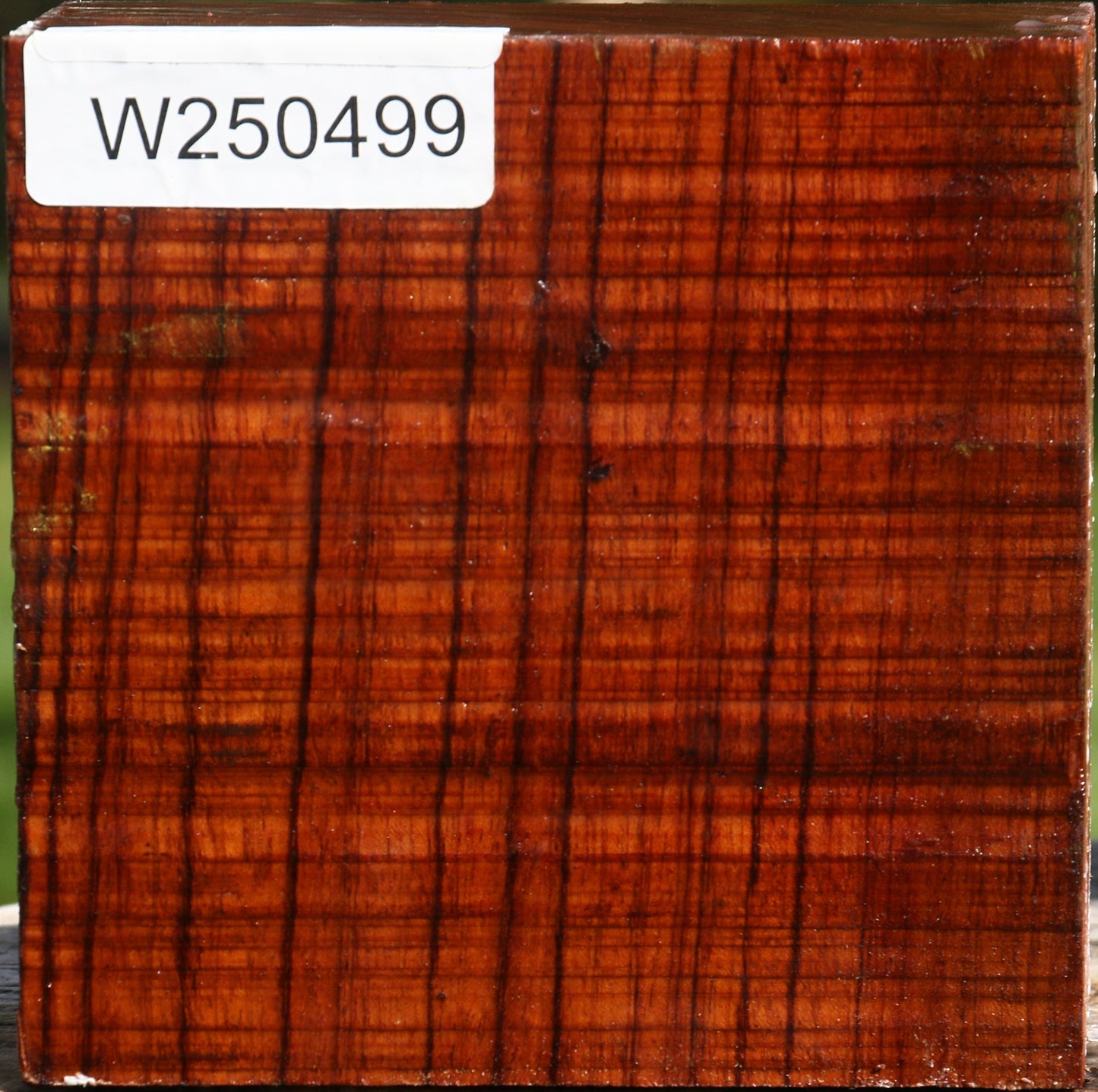 Bubinga Bowl Blank