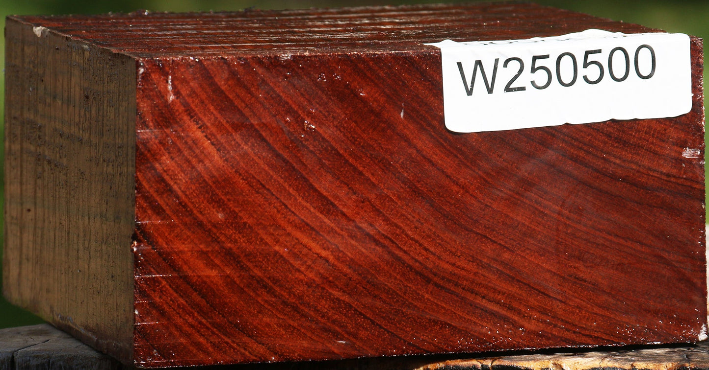 Bubinga Bowl Blank