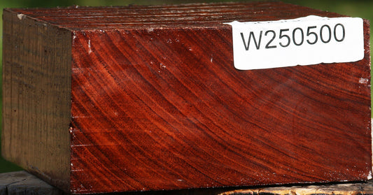 Bubinga Bowl Blank
