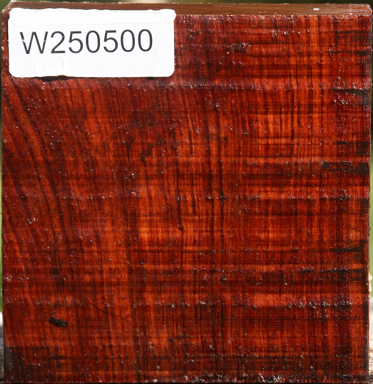 Bubinga Bowl Blank