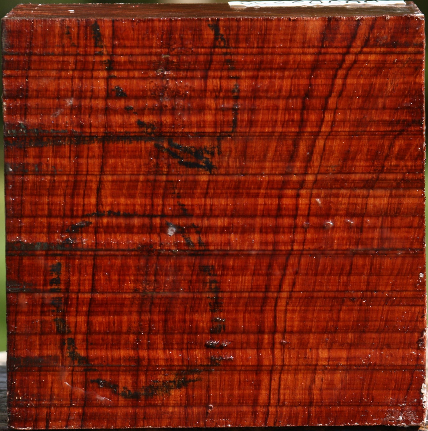 Bubinga Bowl Blank