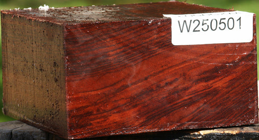 Bubinga Bowl Blank