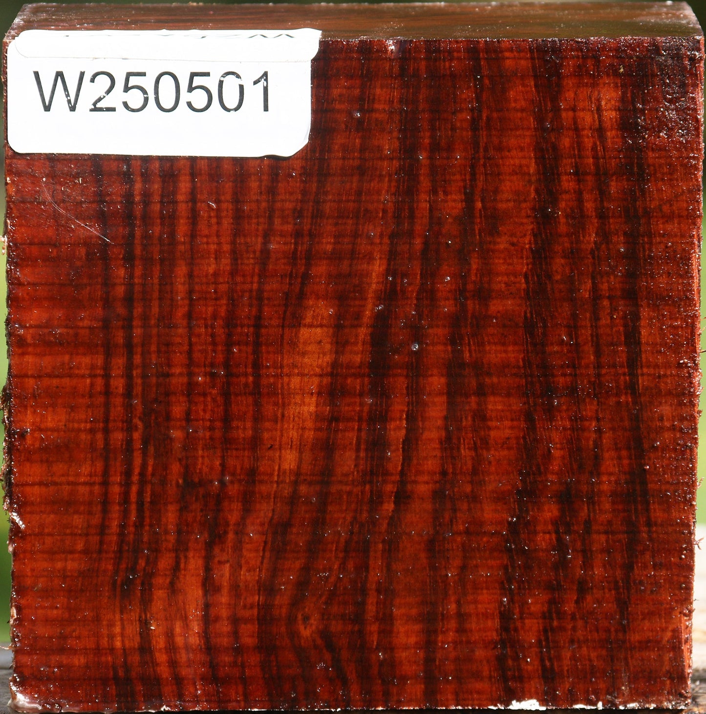 Bubinga Bowl Blank