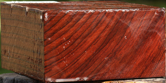 Bubinga Bowl Blank