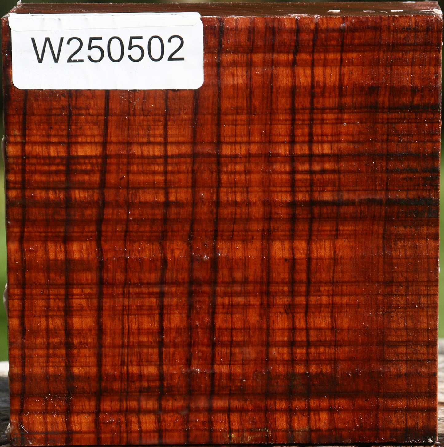Bubinga Bowl Blank