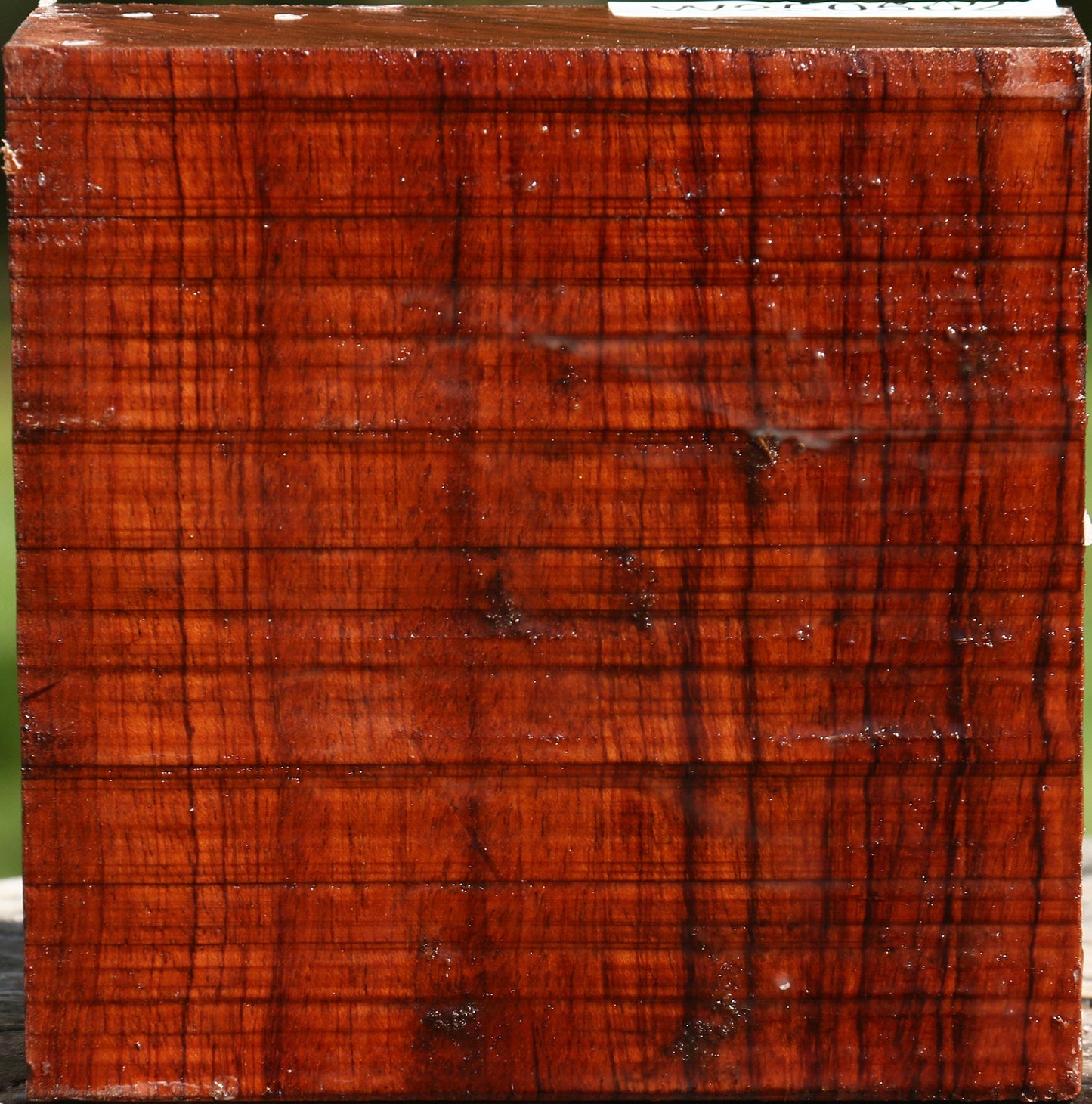 Bubinga Bowl Blank