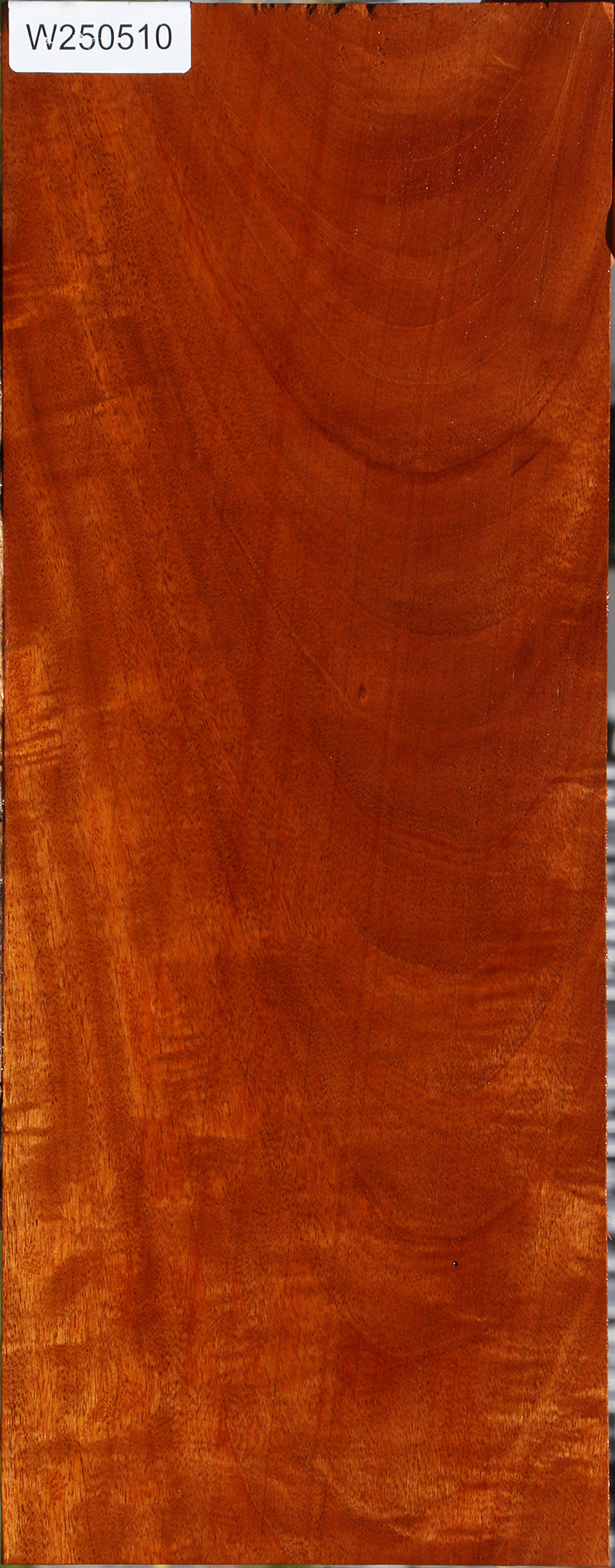 Extra Fancy Honduras Mahogany Instrument Lumber