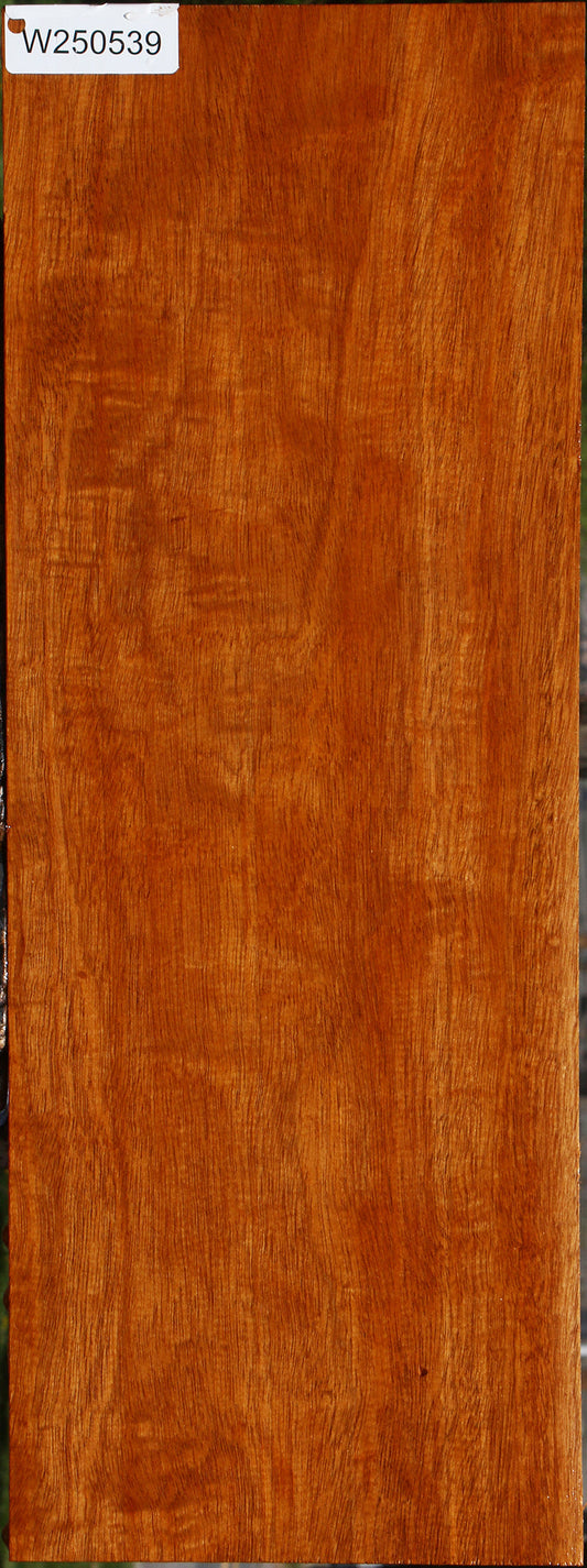 Extra Fancy Honduras Mahogany Instrument Lumber