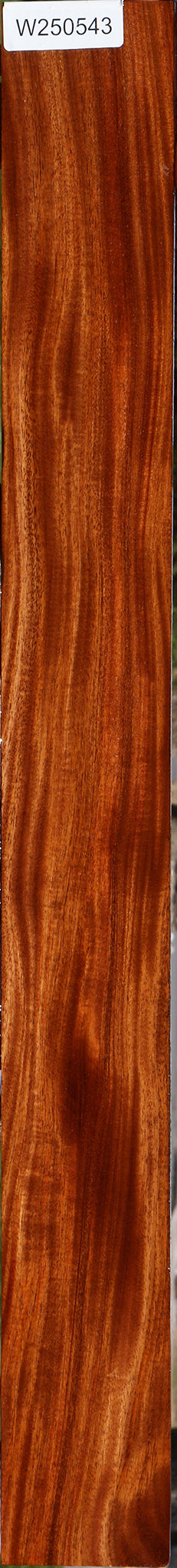 Extra Fancy Honduras Mahogany Micro Lumber