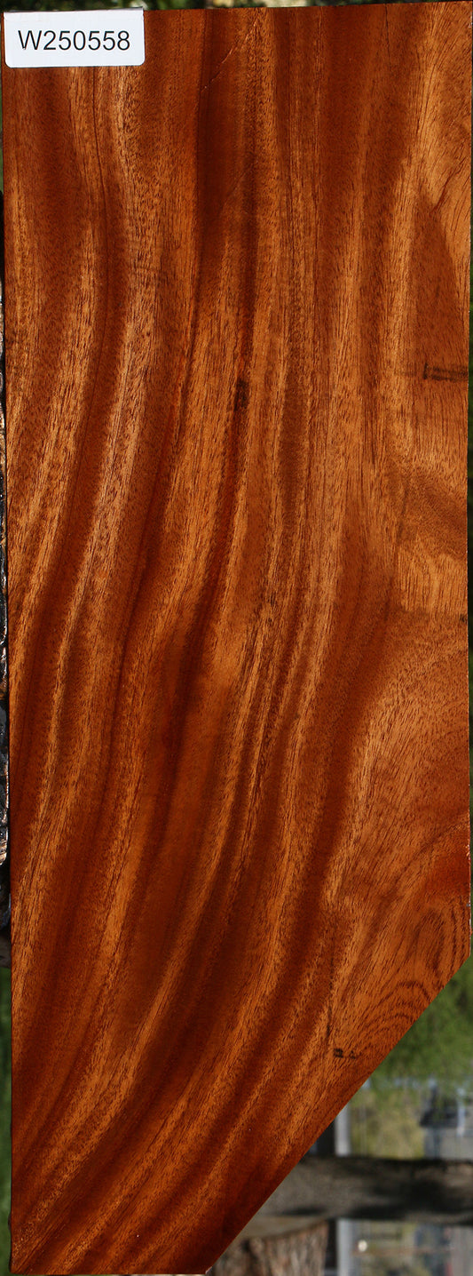 Figured Honduras Mahogany Instrument Lumber