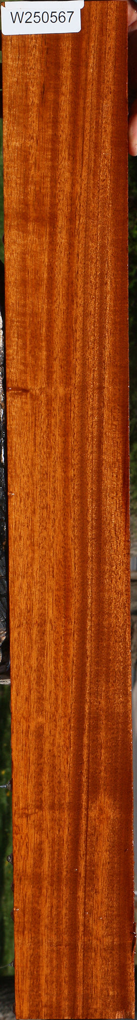 Figured Quartersawn Honduras Mahogany Micro Lumber