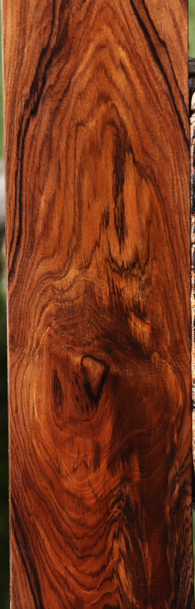 Exhibition Bolivian Rosewood Lumber