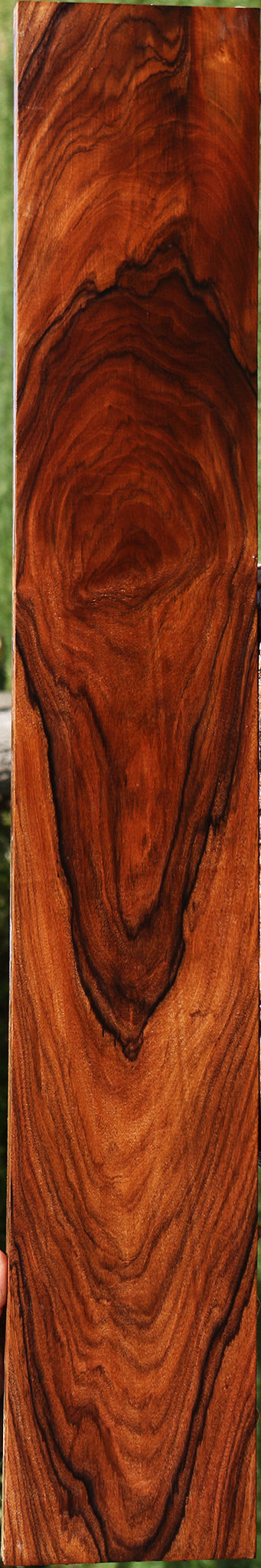 Exhibition Bolivian Rosewood Lumber
