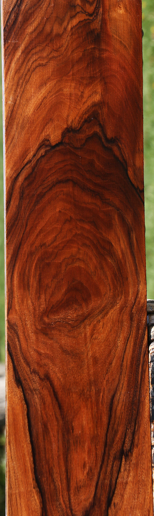 Exhibition Bolivian Rosewood Lumber