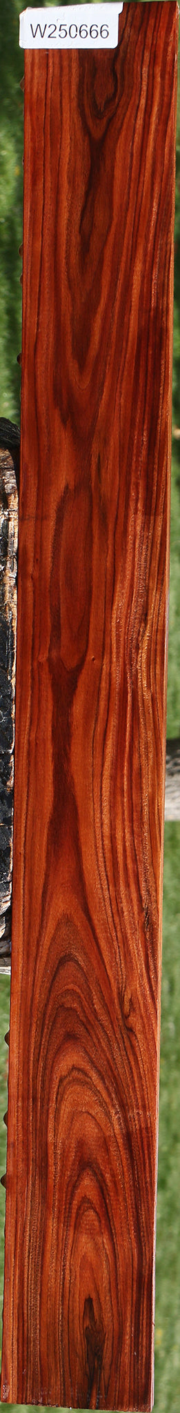 Bolivian Rosewood Lumber