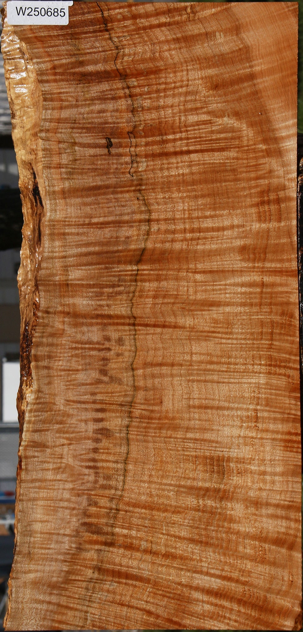 Extra Fancy Maple Instrument Live Edge Lumber