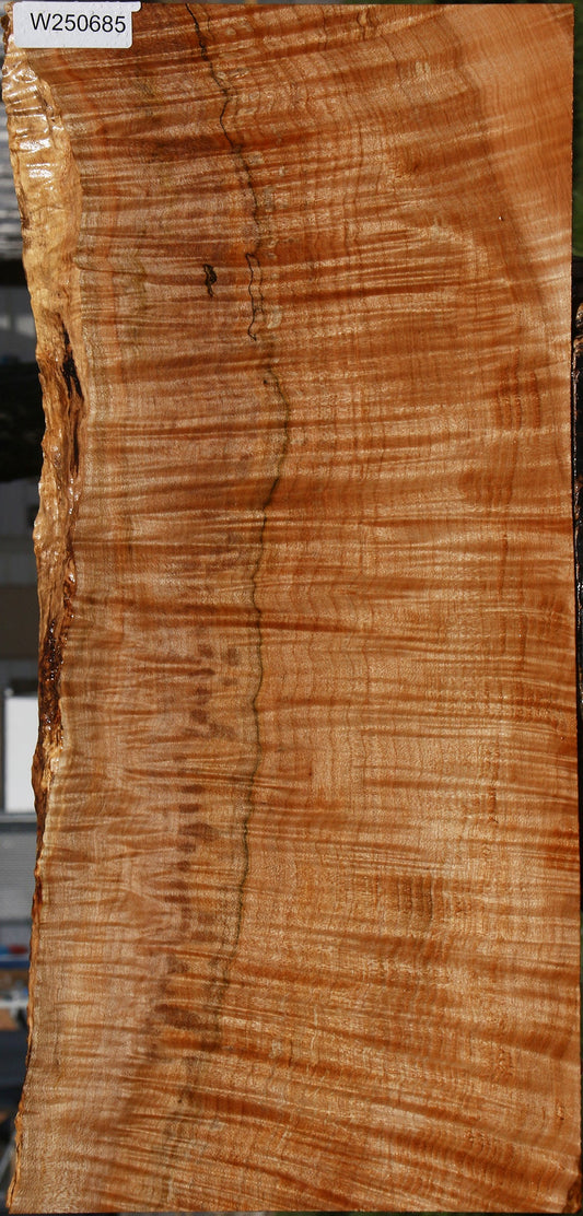 Extra Fancy Maple Instrument Live Edge Lumber
