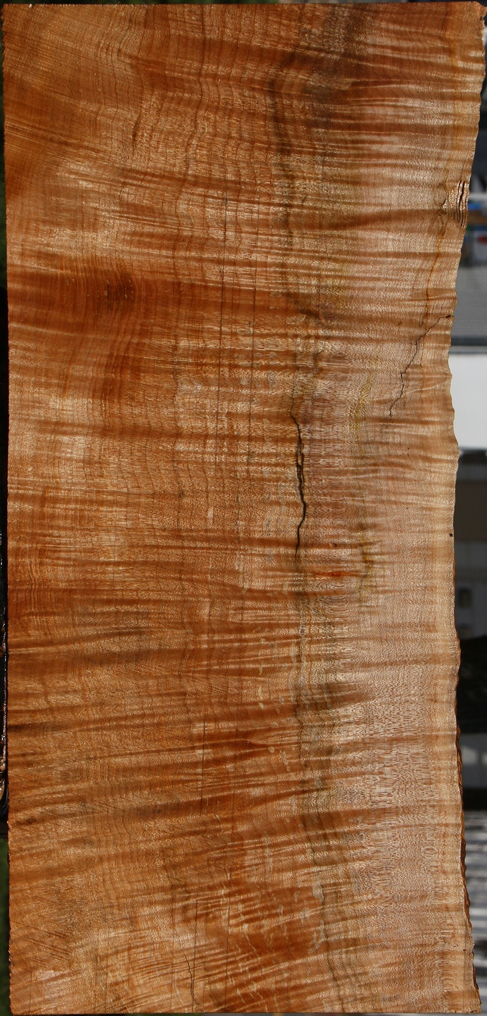 Extra Fancy Maple Instrument Live Edge Lumber