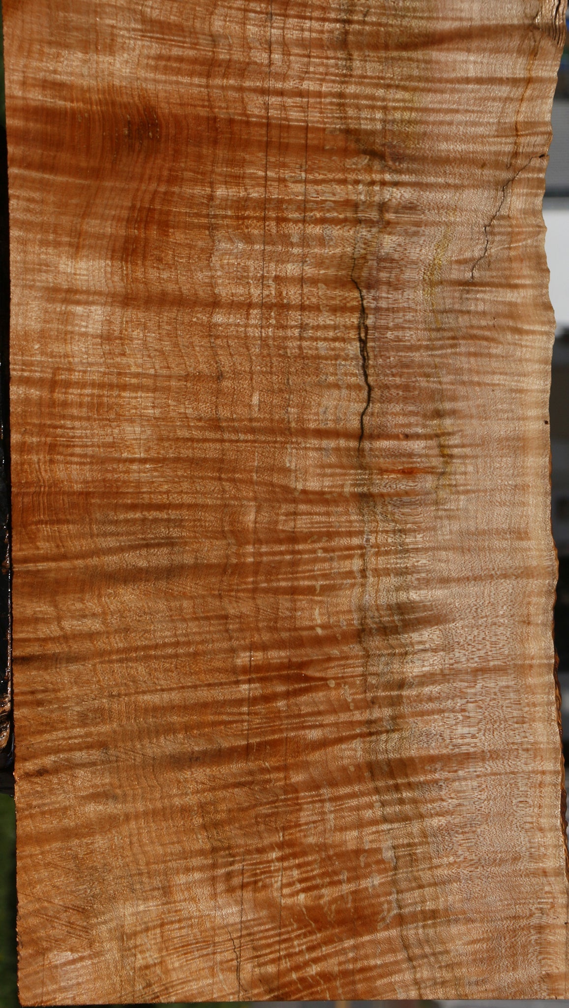 Extra Fancy Maple Instrument Live Edge Lumber