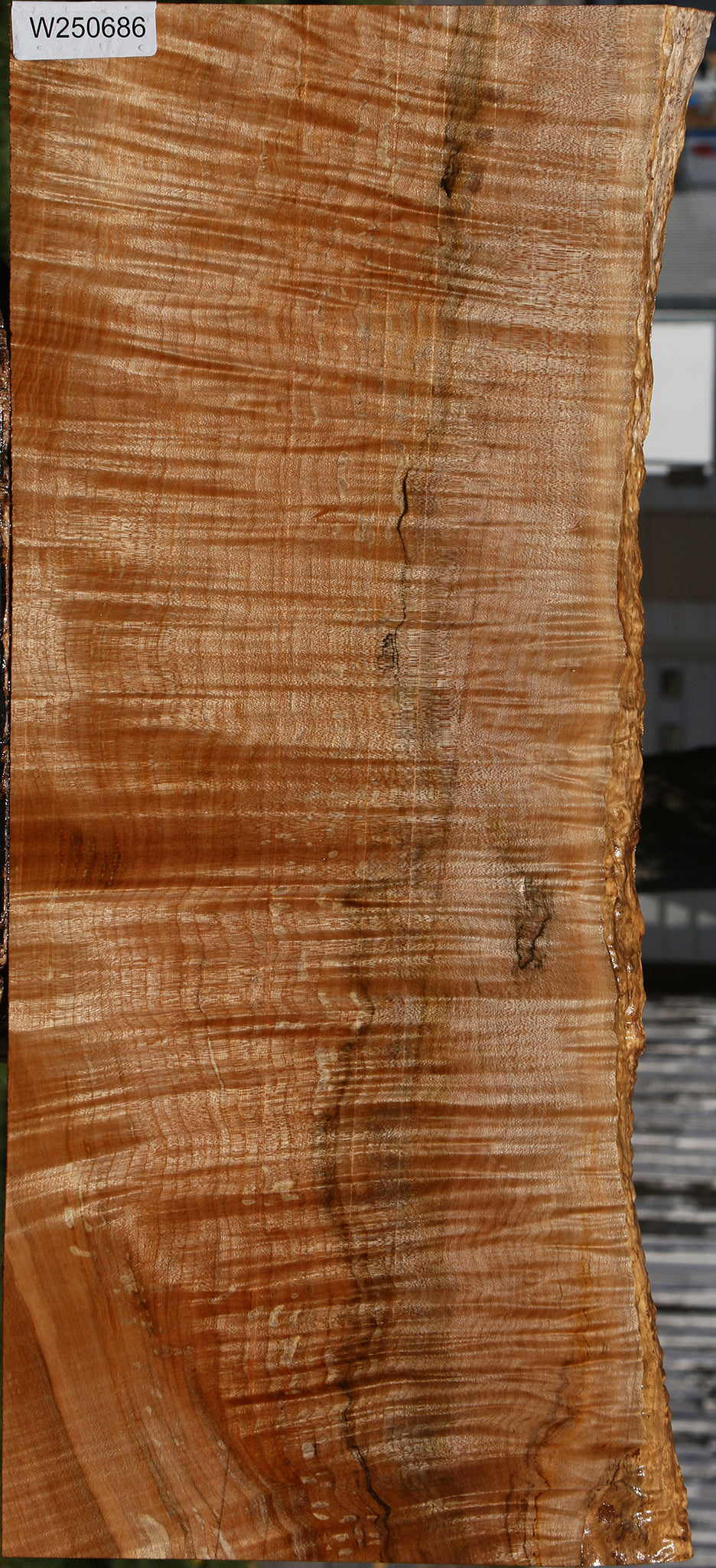 Extra Fancy Maple Instrument Live Edge Lumber