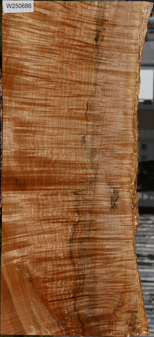 Extra Fancy Maple Instrument Live Edge Lumber