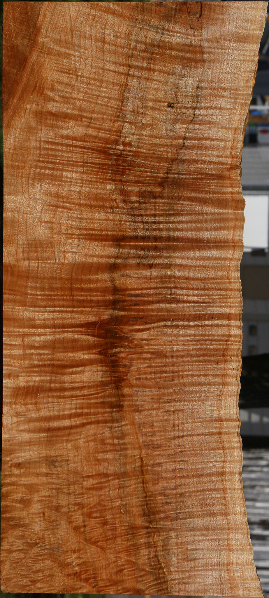Extra Fancy Maple Instrument Live Edge Lumber