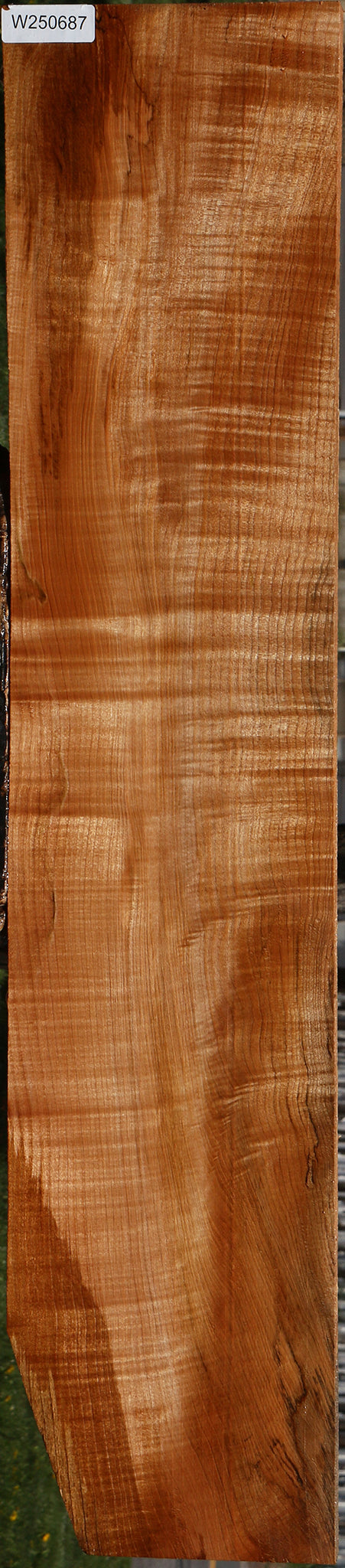 Extra Fancy Maple Lumber