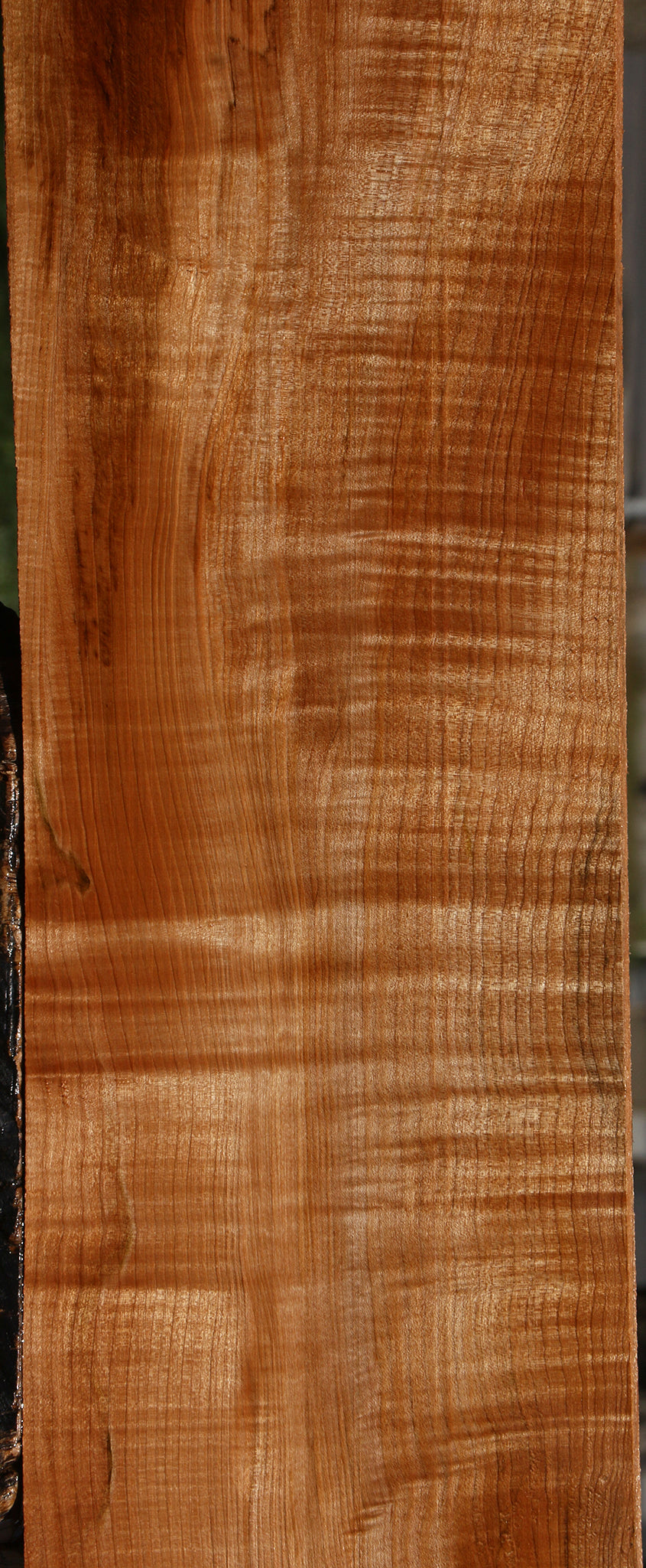Extra Fancy Maple Lumber